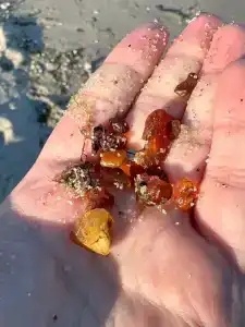 Балтийские Холмы - 24