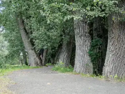 Свяцкі Палац - 47