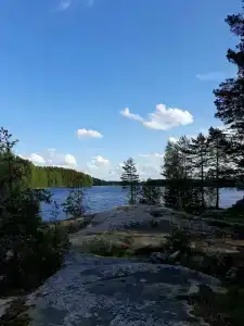 Васильево - 10