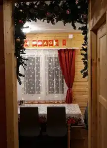 Астра - 26