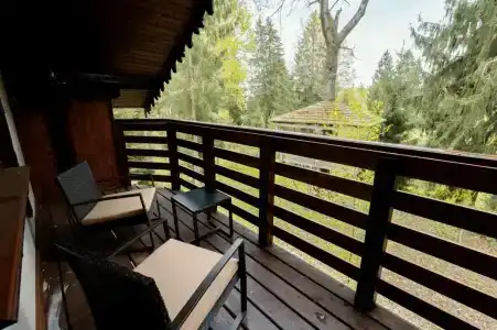 Елизарово - 16