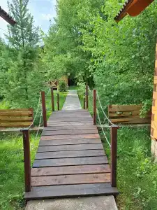 Чемальское лето - 1