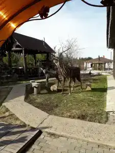 Дача на лесной - 22