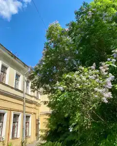 Пушкинская Усадьба - 16