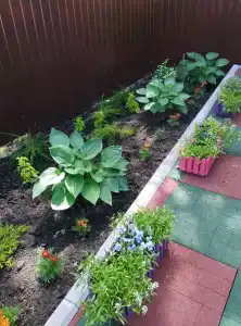 Дом Пивоварова - 60