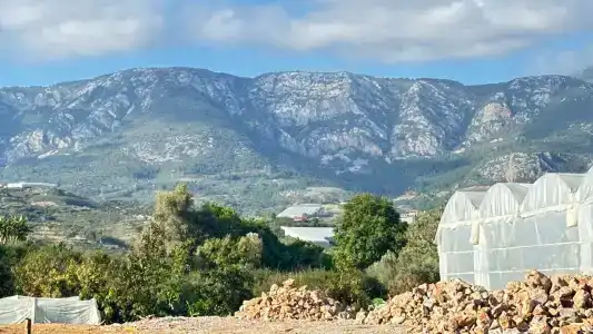 Grand Uysal Beach - 81