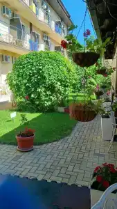 Гранд-Астери - 23