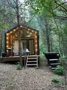 Сосны. Пространствие - 0