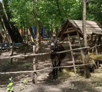 Хуторок у Дона - 21