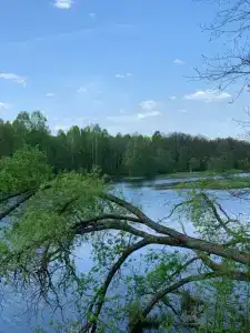 Деслес - 47