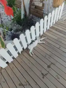 Blue Wave Suite - 91