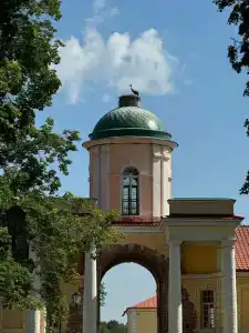 Новое Волосово - 43