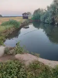 Сероводородный источник - 2