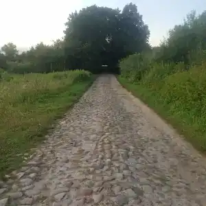 Вальдхаузен - 61