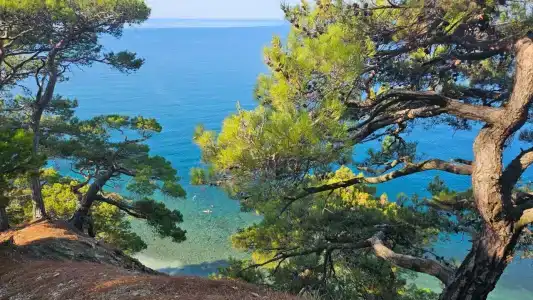Джанхот - 13