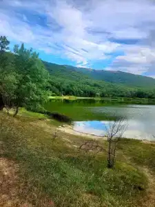 Скелепарк - 79