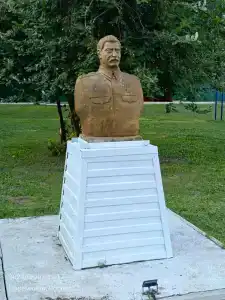 Спутник - 54
