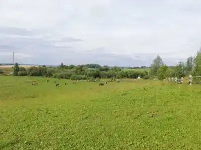 Конная база в Михайловском - 23