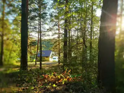 Пчелинцево - 13