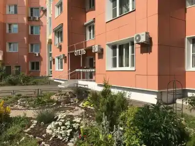 Крокус Стар - 50