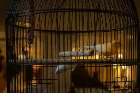 Гостевая Изба на Истре - 85