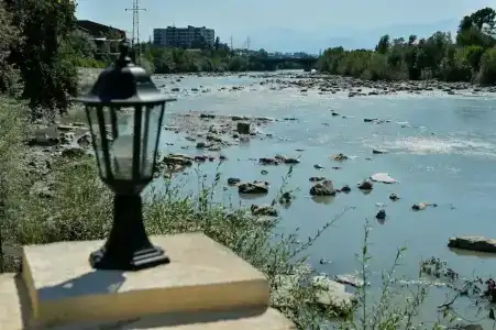 Sanapiro - 8