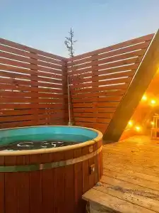 Ильинка лес - 32