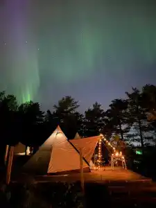 Karelia Love Glamping - 2