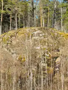 Абракадабра - 51