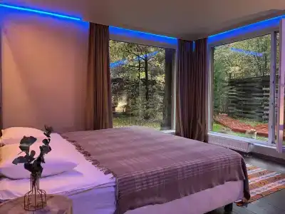 Гуси-Лебеди - 18