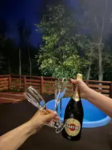 Елизарово - 80