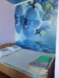 Долина - 1