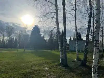 Зелёный остров - 33