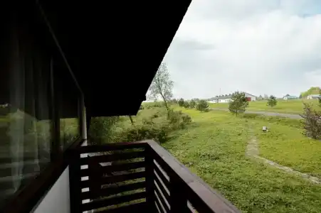 Елизарово - 40