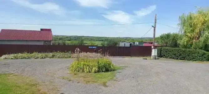 У Светланы - 5