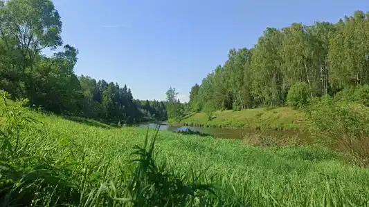 Лесной Родник - 7