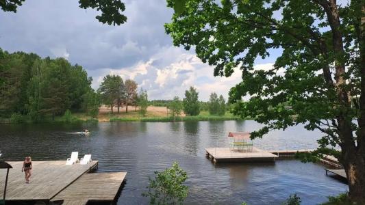 Зелёная роща - 87