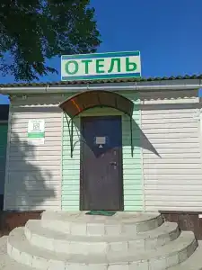 Базилик Становое - 2