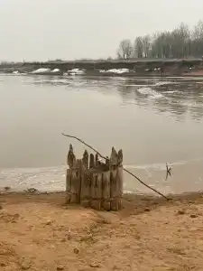 Лазаревых - 26
