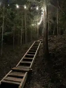 Villy Uley Karelia (Вили Улей Карелия) - 15