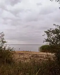 Дюны - 36