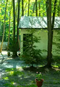 Монте-Карло - 91