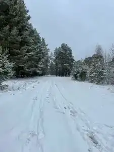 Снетковское Озеро - 28