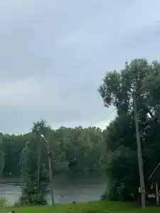 Веселый Роджер - 43