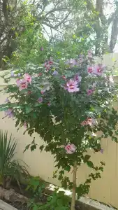 Морская, 51 - 27