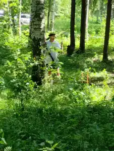 Объект 100 - 71