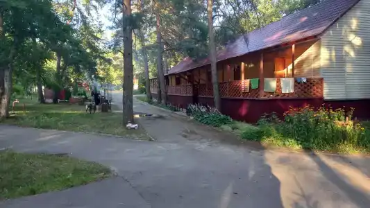 Лесовичок - 27
