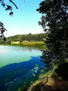 Бузим Красноярск - 26