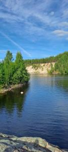 Усадьба Гирвас - 58