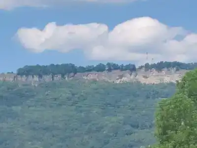 Ореховая роща - 47